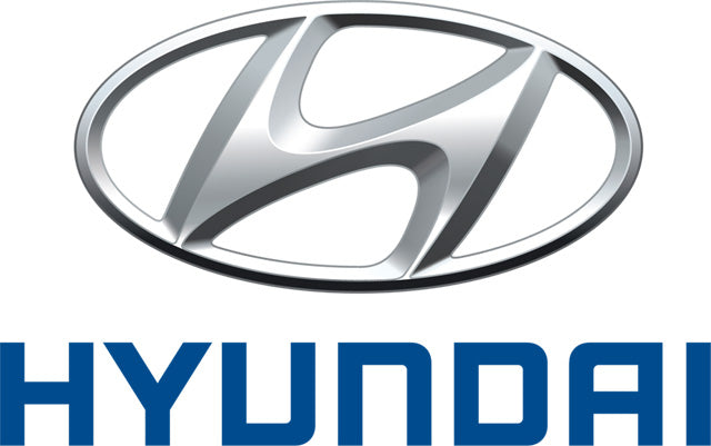 Hyundai 45 Charging Cables